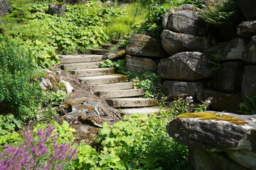 Rustic Stone steps on a rocky forest walk, Derbyshire Peak District, UK. 