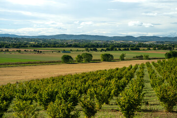 Sweeping view of picturesque Tuscan farms and rolling hills, observed from Castiglion Fiorentino, Italy.