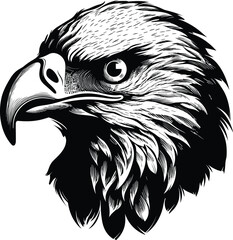 Eagle head vector illustration for t-shirt desigtn