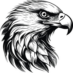 Eagle head vector illustration for t-shirt desigtn