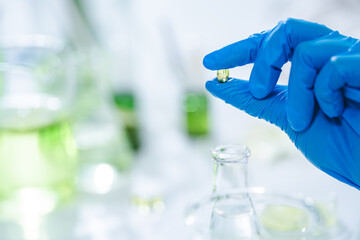 Natural organic green botany laboratory with scientific glassware, Alternative herb medicine or skin care beauty products, Plant cosmetic chemistry research and dermatology development concept.