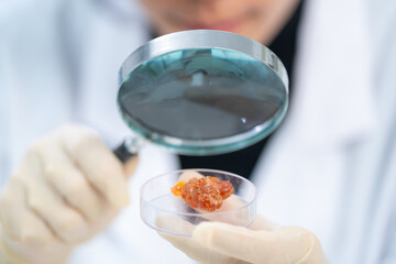 Geology science laboratory research concept, sample test analysis of nature dirtied ground in environment and ecology experiment, agriculture agronomy material to working with scientific equipment