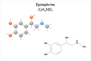 Stylized molecule model/structural formula of epinephrine.