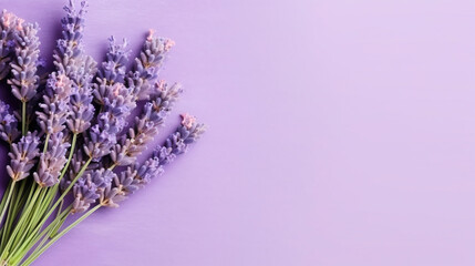 Fototapeta premium fresh natural piece of lavender top view, with empty copy space