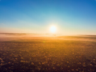 Aerial view over agricultural agronomy fields of wheat plants, beautiful sunrise in the countryside with morning fog