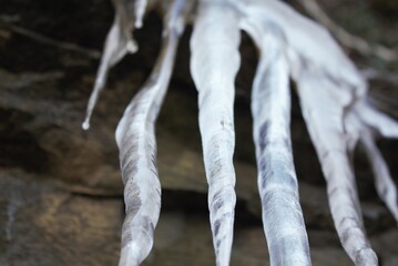 Jack Frost's hoary winter fingers