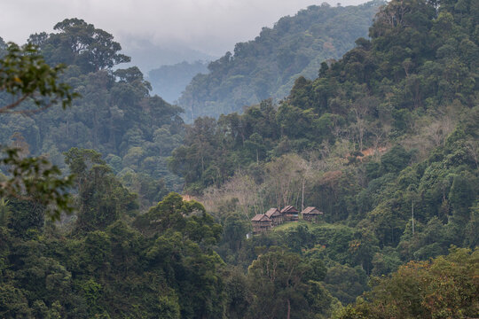 view of the jungle in the mountains with cottages on the hilltop, Gunung Leuser National Park, Bukit Lawang, Sumatra, Indonesia
