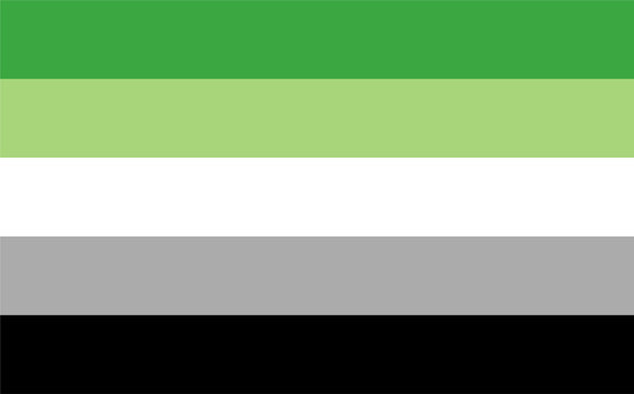 Aromantic pride flag vector illustration.