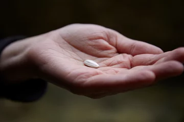 Fotobehang Hand holding seed © Image Source
