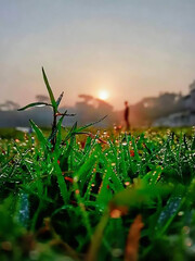 A close up of grass with water drops