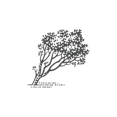 Wind shaped tree. Hand drawn engraving style illustrations.