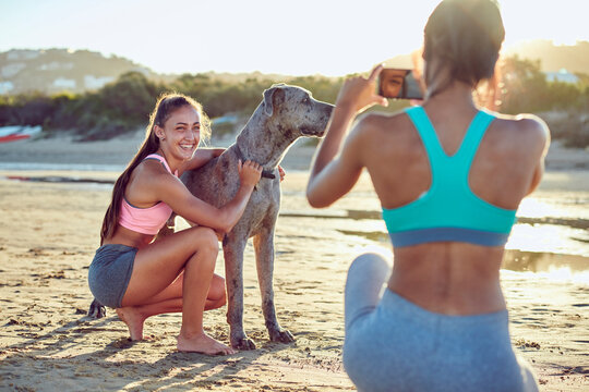 Young woman petting dog while her friend takes photograph