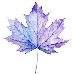 Naklejka premium autumn purple watercolor maple leaf