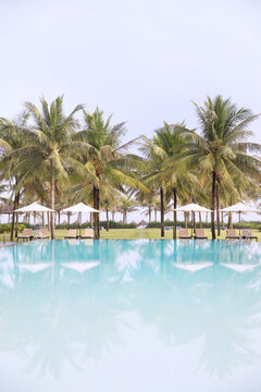 Resort swimming pool with palm trees