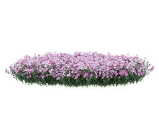 Obraz premium Bunch of tiny pink and purple flowers in clusters 