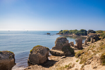 The Torre Astura nature reserve, in Nettuno. The large pine forest that leads to the beach with the remains of ancient Roman buildings. The Lazio coast. Island of Ponza on the horizon shrouded in fog. © Ragemax