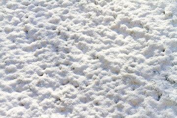 Background texture of snow on uneven ground