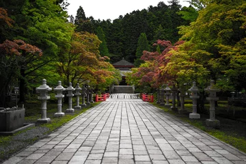 Deurstickers Bosweg japanese temple