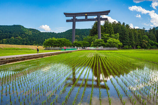 View of field and arch, Kumano Kodo Pilgrimage Route, Japan