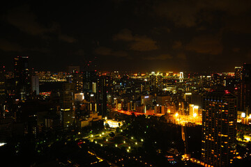 Obraz premium night view of tokyo