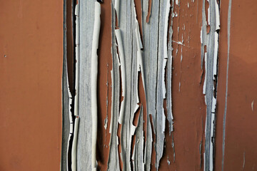 Paint flaking and peeling from an old shabby French shutter
