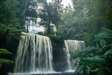 Naklejka premium waterfall in the forest