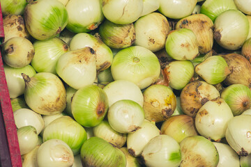 Selling white onions at the vegetable market. 