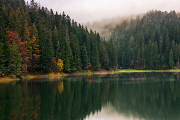 Fototapeta na wymiar lake on a misty morning in fall season. mysterious outdoor nature background