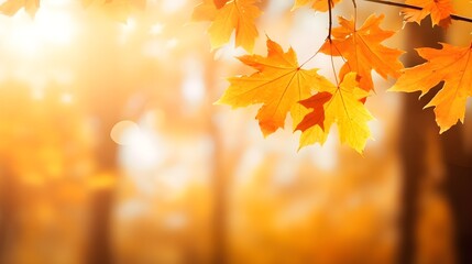 Naklejka na ściany i meble Farbenfrohes Bokeh: Herbstblätter schaffen eine verträumte Kulisse