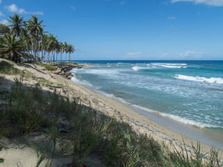 Plage de Cabarete