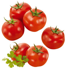 composição com tomates vermelhos maduros e salsa isolado em fundo transparente