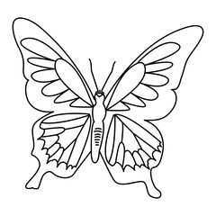 Continuous one line drawing of butterfly bird  vector illustration design