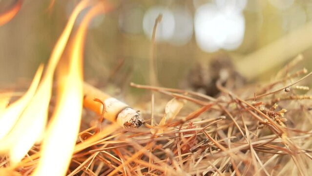 cigarette cr&eacute;e un d&eacute;part d'incendie