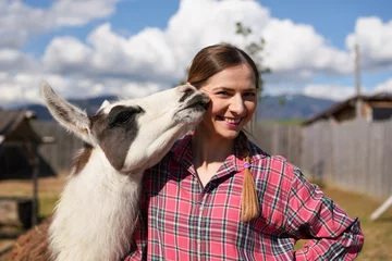 Photo sur Plexiglas Lama Young woman in shirt standing next to white llama at zoo on a sunny day, smiling, posing for picture