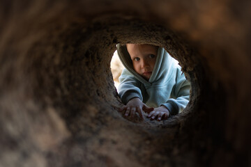 curious independent toddler boy child looks inside hollow log and explores botanical garden nature...