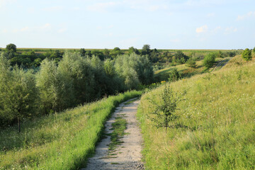 Dirt road among green hills