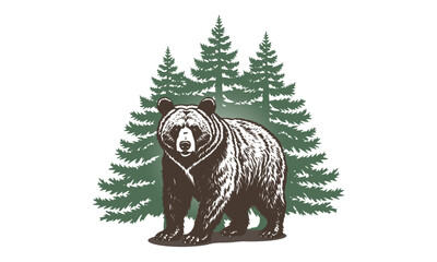 Vector graphic big strong brown bear standing on four paws against the background of a green coniferous forest. Wild animal. White isolated background. - obrazy, fototapety, plakaty