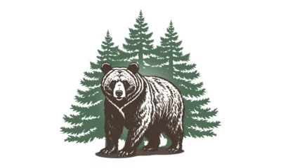 Fototapeten Vector graphic big strong brown bear standing on four paws against the background of a green coniferous forest. Wild animal. White isolated background. © GAlexS