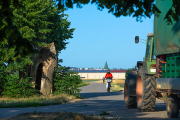 scene of a tractor on a road with cyclist and old tree