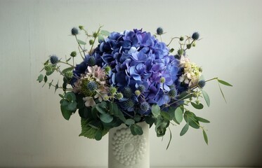 Blue Hortensia flowers in a white vase