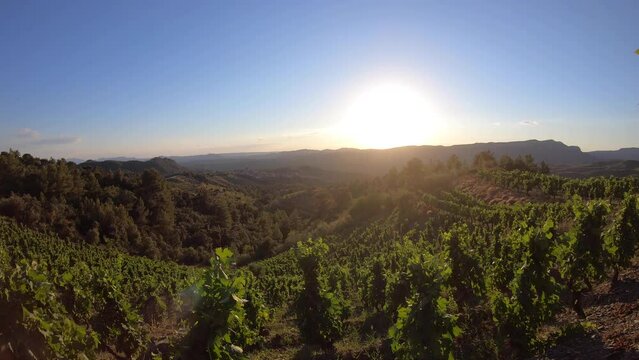 Timelapse Puesta de Sol entre Monta&ntilde;as en un Vi&ntilde;edo del Priorat con Encantador Pueblo Rural