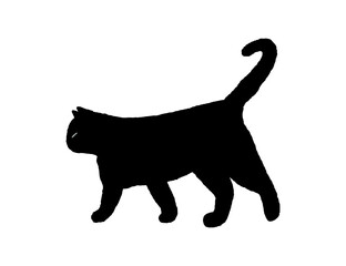 Walking black cat hand drawn silhouette on the white background. Vector illustration - 633123281