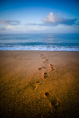 footprints coming from the sea