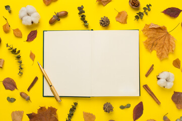 Autumn leaves with notebook on color background, top view