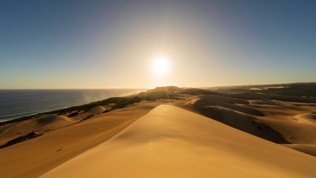Alexandria Dunes, Addo Elephant National Park, South Africa