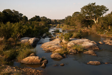 River of Kruger National Park