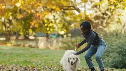 Smiling woman taking pet golden retriever dog for walk in Autumn countryside - shot in slow motion