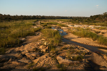 River of Kruger National Park