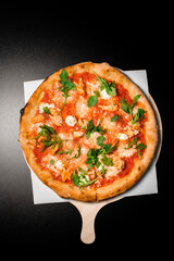 Appetizing Italian pizza with tomato sauce, arugula, soft cheese and chicken pieces on wooden board on black background.
