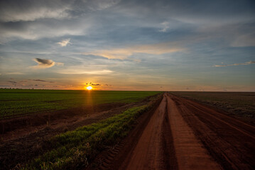 Fototapeta premium Agronegócio